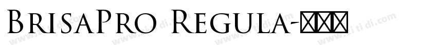 BrisaPro Regula字体转换